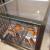 2gn4l2gn1l_bovenkant_1862173937